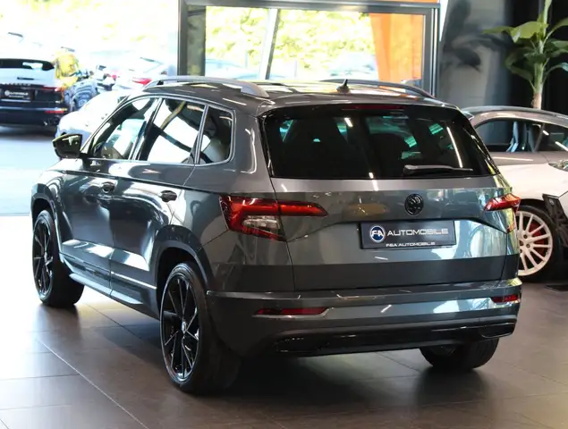 Skoda Karoq view 4