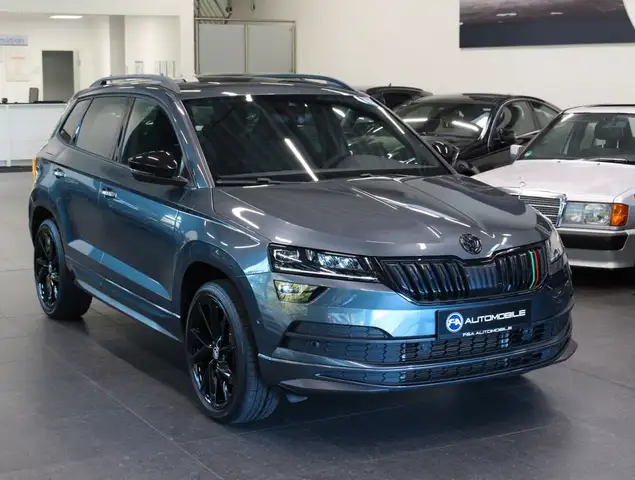 Skoda Karoq view 2