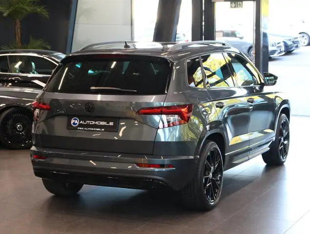 Skoda Karoq view 5