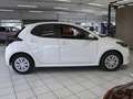 Toyota Yaris 1.5 Hybrid Comfort  KAMERA KLIMA BT DAB APPLE ANDROID SERVO USB eFH Weiß - thumbnail 3