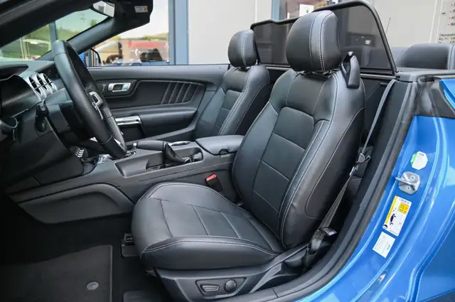 Ford Mustang view 12