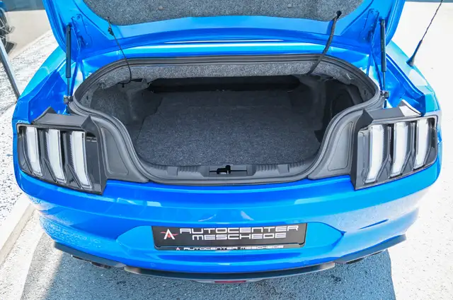 Ford Mustang view 8