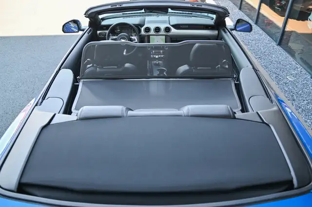 Ford Mustang view 10