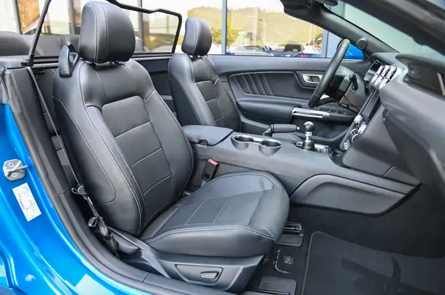 Ford Mustang view 13