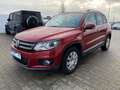 Volkswagen Tiguan |Cup Sport & Style|NAVI/TÜV NEU Rood - thumbnail 17