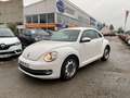 Volkswagen New Beetle 1.6 TDI FAP - 105 Blanco - thumbnail 1