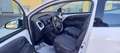 Toyota Aygo Benzina cc. 1.000 5 Porte Euro 6B per Neopatentati Bianco - thumbnail 7