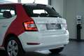 Skoda Fabia Cool Plus Wit - thumbnail 10