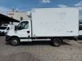 Iveco Daily 35 C13*Carrier Xarios 350*Motorschaden*Kli Weiß - thumbnail 2
