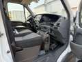 Iveco Daily 35 C13*Carrier Xarios 350*Motorschaden*Kli Weiß - thumbnail 10