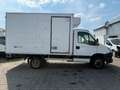 Iveco Daily 35 C13*Carrier Xarios 350*Motorschaden*Kli Weiß - thumbnail 7