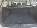 Subaru OUTBACK Outback IV 2009 2.0d Trend lineartronic Weiß - thumbnail 23