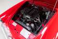 Alfa Romeo 2000 Spider - Borrani - Hardtop - Rojo - thumbnail 36
