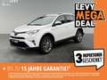 Toyota RAV 4 2.5 Hybrid 4x2 Team D *LED*SHZ*NAVI* Alb - thumbnail 1