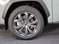 Toyota RAV 4 2,5  Hybrid UPE 49.840,- EUR ! Vert - thumbnail 23