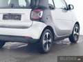 smart forTwo smart fortwo EQ Exclusive Plus+22kW+Pano+Kamera BC Silber - thumbnail 4