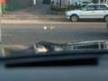 BMW X5 xDrive 40 d M Sport *PANO|HUD|AHK 3,5t|22"LM* Grau - thumbnail 14
