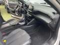 Peugeot 2008 BlueHDi 130 S&S EAT8 GT Pack Bianco - thumbnail 10