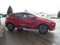 Ford Puma 1.0 EcoBoost Hybrid ST-LINE Rot - thumbnail 5