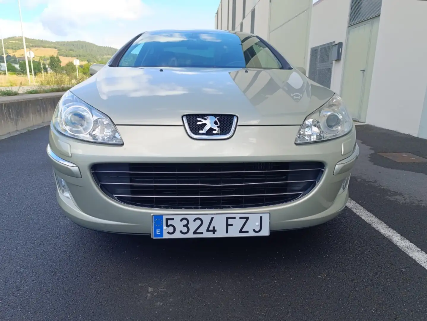 Peugeot 407 2.0HDI Premium Beige - 2