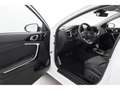 Kia Ceed / cee'd 1.5T-GDI SW Aut.Platinum+LED+NAVI+VIRTUAL+PANO Weiß - thumbnail 17