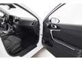 Kia Ceed / cee'd 1.5T-GDI SW Aut.Platinum+LED+NAVI+VIRTUAL+PANO Weiß - thumbnail 23
