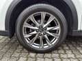 Mazda CX-5 Sports-Line AWD Bluetooth Head Up Display LED Weiß - thumbnail 22