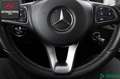 Mercedes-Benz B 220 d 4M URBAN KAMERA,PARKASSIST,AHK,AMBIENTE Gris - thumbnail 15