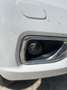 Nissan Navara Navara 2.3 dci d.cab N-Connecta 4wd 190cv Bianco - thumbnail 5