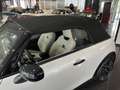 MINI Cooper S Cabrio Aut. Favoured Weiß - thumbnail 30