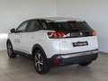 Peugeot 3008 1.6 HYBRID 225 E-AUTO ALLURE PACK 225 5P Blanco - thumbnail 10