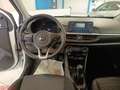 Kia Picanto 1.0 12V EcoGPL 5 porte Active Bianco - thumbnail 12
