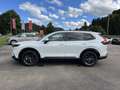 Honda CR-V e:HEV 2.0 i-MMD Hybrid AWD Advance Blanco - thumbnail 2