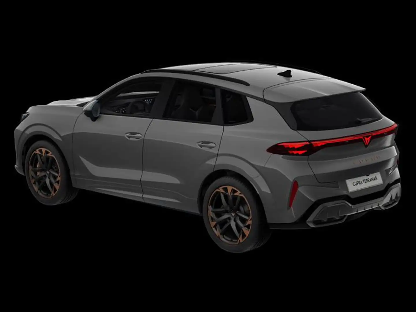 CUPRA Terramar VZ 2.0 TSI 195 kW (265 PS) 7-Gang DSG 4Drive Gris - 2