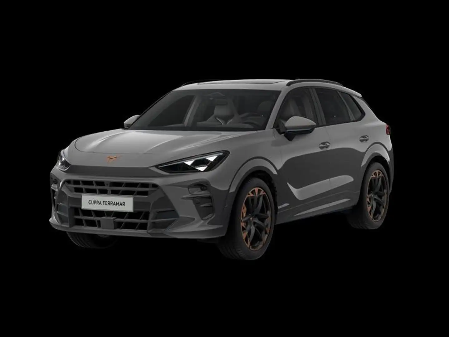 CUPRA Terramar VZ 2.0 TSI 195 kW (265 PS) 7-Gang DSG 4Drive Gris - 1