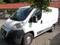 Fiat Ducato Kasten 30 115 Austauschmotor Blanco - thumbnail 2