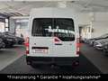 Renault Master III Kasten L2H2 HKa 3,3t Weiß - thumbnail 7