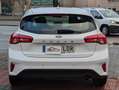 Ford Focus 1.5Ecoblue Titanium 120 Blanc - thumbnail 16