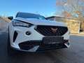 CUPRA Formentor Formentor 1,5 TSI Cupra DSG Cupra Weiß - thumbnail 4