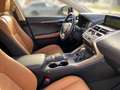 Lexus NX 300h Executive Line KAMERA NAVI SHZ LED KLIMA Schwarz - thumbnail 6
