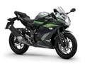 Kawasaki Ninja 125 - thumbnail 1