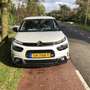 Citroen C4 Cactus 1.2 PT Business / Dealer onderhouden / div. opties Wit - thumbnail 1