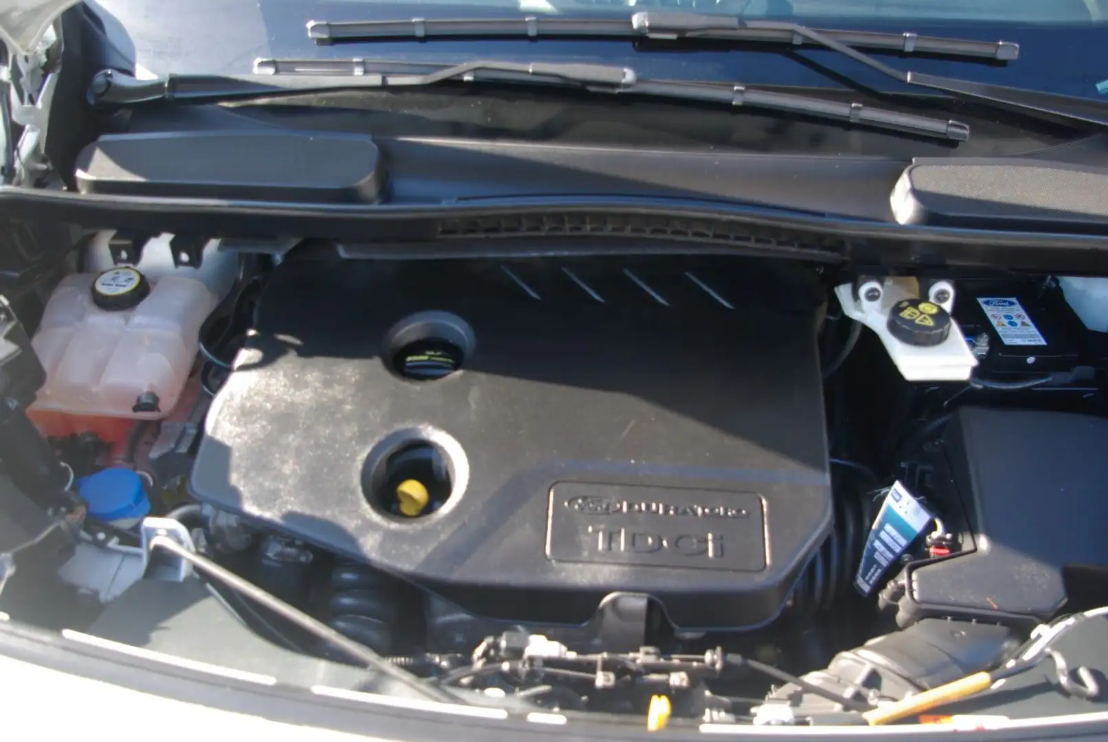 Ford Grand Tourneo * Behinderte Rollstuhl ** Blanc - 2