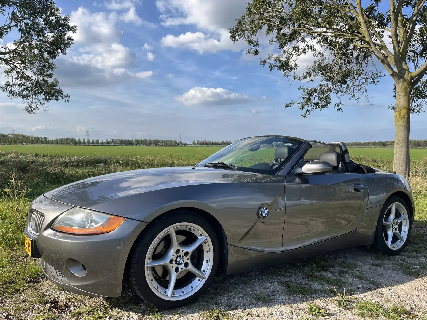 BMW BMW Z4 3.0i | M Sportonderstel | Handbak Сірий - 2