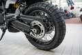 Benelli Leoncino 800 Trail ABS, sofort lieferbar Grün - thumbnail 18