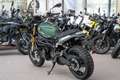 Benelli Leoncino 800 Trail ABS, sofort lieferbar Grün - thumbnail 5