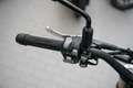 Benelli Leoncino 800 Trail ABS, sofort lieferbar Grün - thumbnail 9