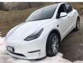 Tesla Model Y Dual motor Bianco - thumbnail 3