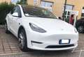 Tesla Model Y Dual motor Bianco - thumbnail 2