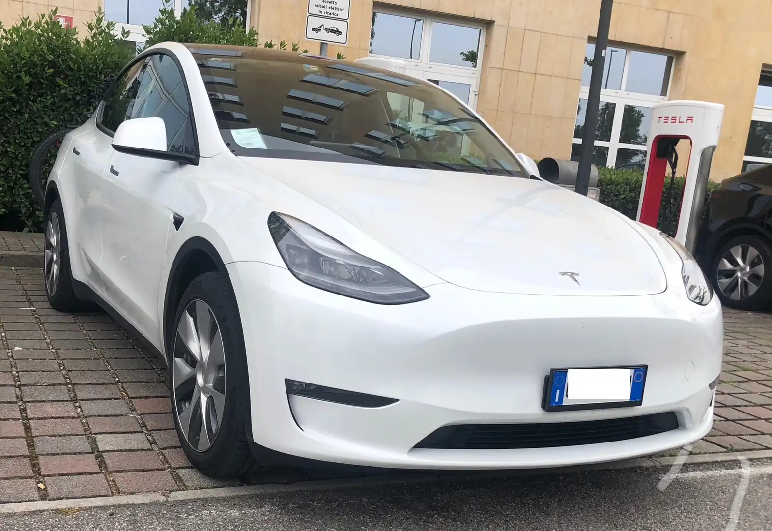Tesla Model Y Dual motor Bianco - 2